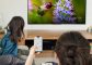 Google Chromecast 3 Media Streamer (2018) – Zwart