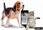 Tractive Motion Health & Activity tracker voor Huisdieren (Honden en Katten)